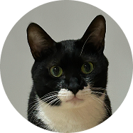 Ppi-youn - CS Cat 고객 서비스 담당 냥